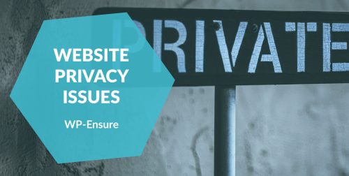 An article header image with a large Private sign in the background and text showing 'Website privacy issues'.